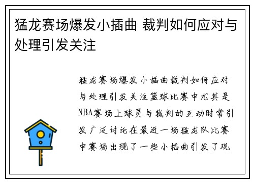 猛龙赛场爆发小插曲 裁判如何应对与处理引发关注